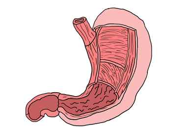 Module de secrétariat en GASTRO ENTEROLOGIE